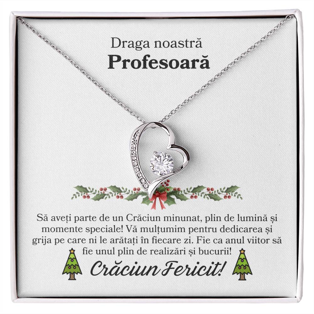Cadou de Craciun pentru Profesoara mea 