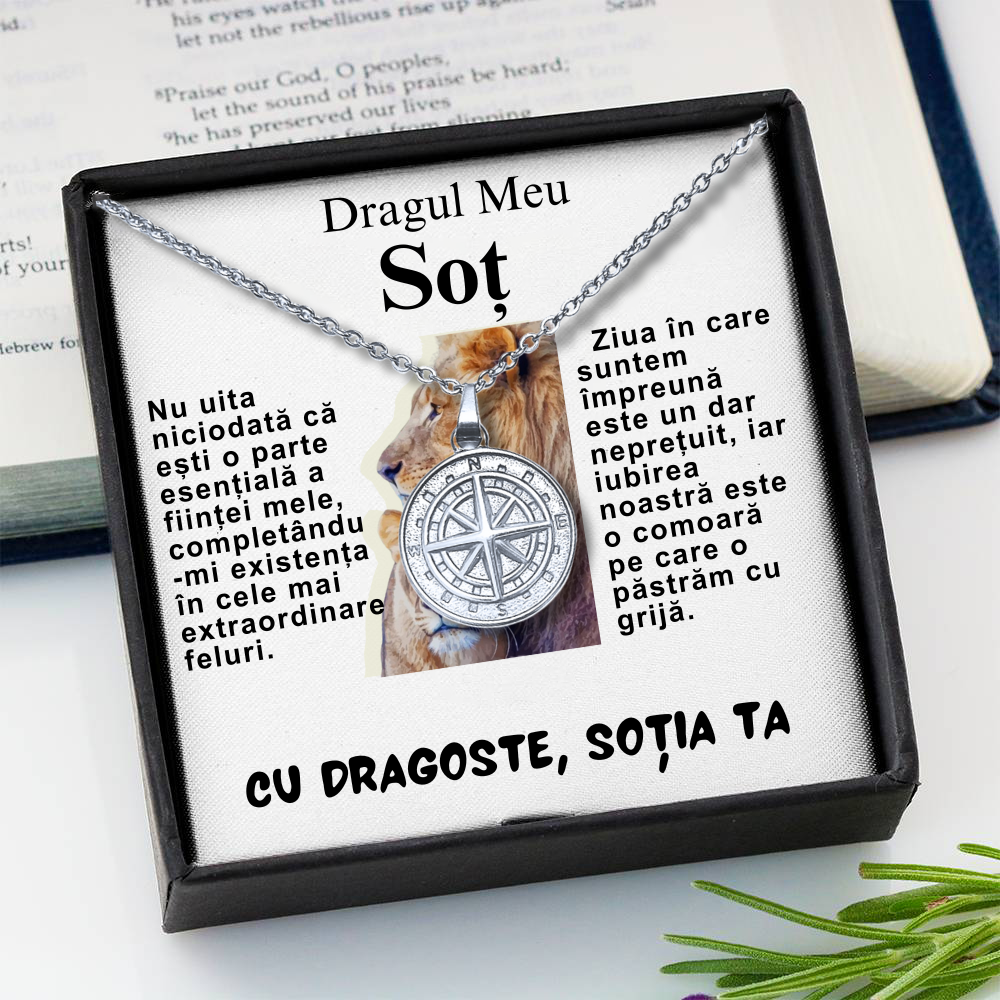Cadou de Craciun pentru Sot -