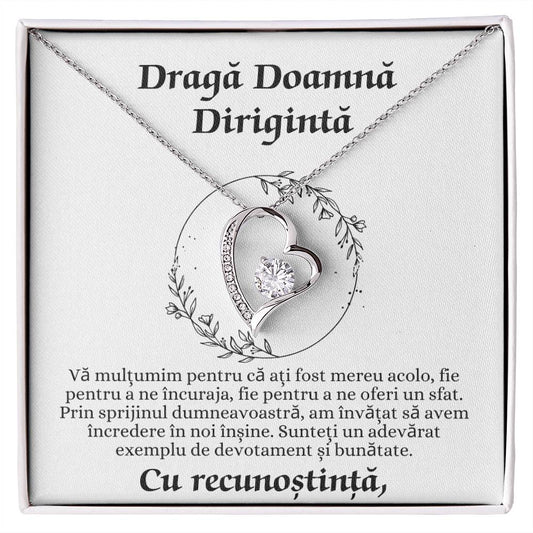 Cadou pentru Doamna Diriginta 