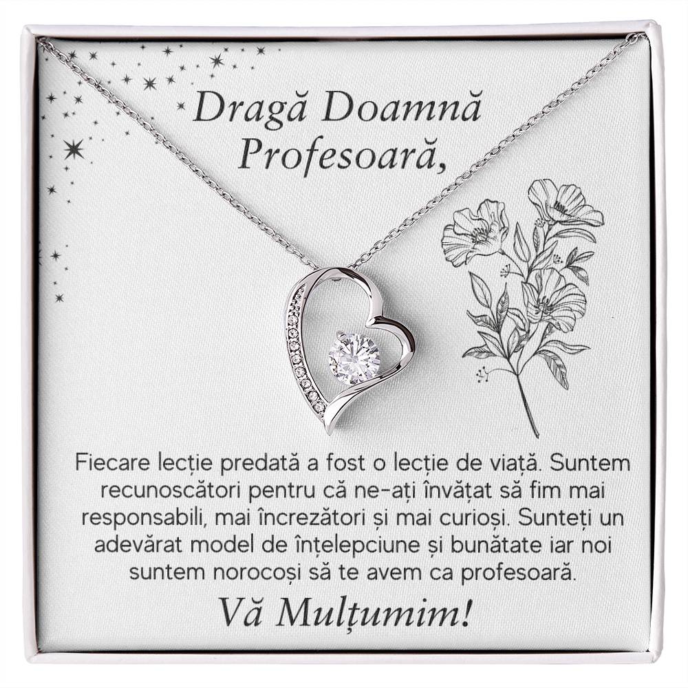Cadou pentru Doamna Profesoara