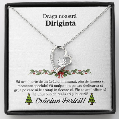cadou doamna diriginta craciun