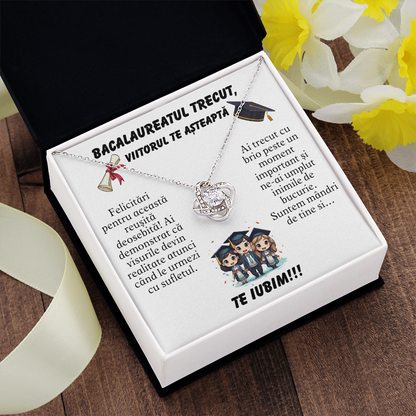 lantisor gravat bacalaureat